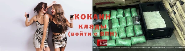 дживик Верея
