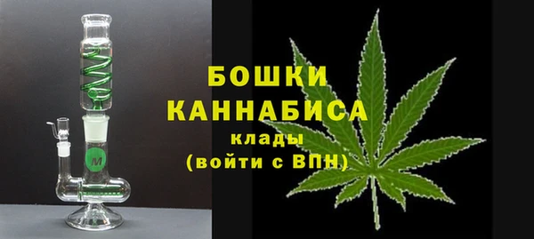 СК Зеленодольск