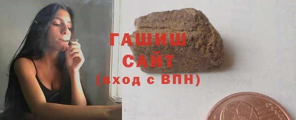молекула духа Вяземский