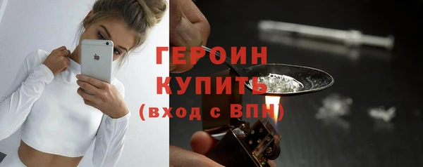 молекула духа Вяземский