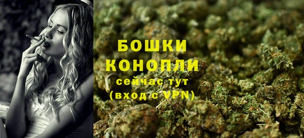 дживик Верея
