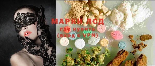 молекула духа Вяземский