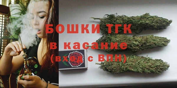 дживик Верея