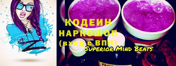 молекула духа Вяземский