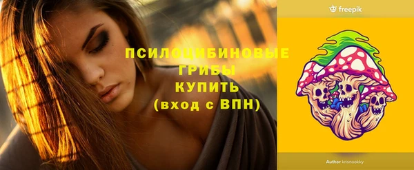 стаф Вязники